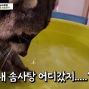 테리구옥