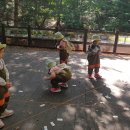 소새울어린이집 이미지