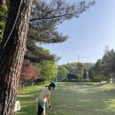 조일프라자골프클럽 네이버블로그
