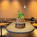 파스쿠찌구미역점 이미지