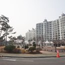 삼부비디오 이미지