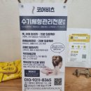 코어비츠 이미지