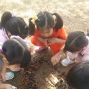 꿈나래유치원 이미지