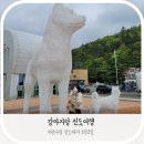 진도 애견동반 여행, 미남이와 함께한 진도의 송가인공원,진도항,이충무공승전공원3곳!
