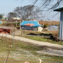 김성수농장 이미지