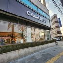 까사미아충주점 | 충주의 라이프스타일은 '까사미아' casamia와 상담하세요~~ ^^