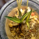 동진통신(주) 이미지