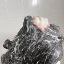 W헤어 앤 스칼프 | 향좋은탈모샴푸 러브밋 헤어 앤 스칼프 리츄얼 샴푸 사용 후기