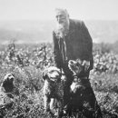 애견가족 이미지