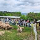 알리투어 이미지