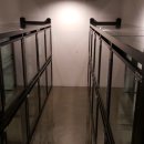 애견#(샾) 이미지