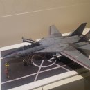 하세가와 1/48 F-14C TOMCAT VF-11 "ED RIPPERS" 이미지