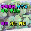 공복혈당 낮추고 아주 맛있는 야콘 심는 방법 이미지