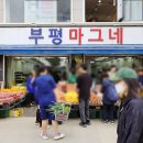 부평마그네