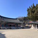 차나한잔 | 경북 영천 은해사 직접 다녀온 후기 | 임신 기원 명당 사찰 🌿🙏 거조사, 526나한