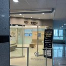 괜찮아동물병원 | 내돈내산 평택 고덕 괜찮아동물병원 8살 휘바 건강검진 &amp; 스케일링 후기