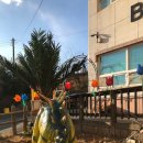 뽈리나어린이집 이미지