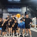 라이언복싱gym 이미지