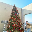 카페 마음 | 뷰는 확실했는데, 마음은 남지 않았다 — NTBR 카페 솔직 후기