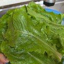 옥천살림협동조합 이미지