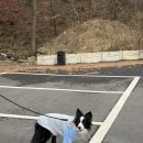 동두천-026 네이버블로그