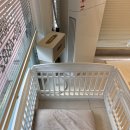 멍친 | 안심할 수 있는 수원애견미용샵 멍친 추천