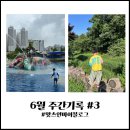 철봉공원(고덕약수터) | 일상기록 : 6월 주간기록 3 : 물놀이장, 어울더울, 정담초밥