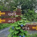 삼회1리 마을회관 이미지