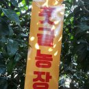 이창희농장 이미지