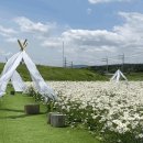 카페 데이지 이미지