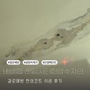 천안아산약국 | 아산 배방읍 센텀시티한양수자인 결로예방 탄성코트 시공 후기 함께보시죠!