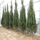 정원시장 고객센터 이미지