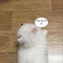 남대구식당 이미지