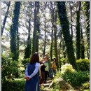 해찬솔농장 이미지