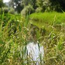 돌리네습지주차장 이미지