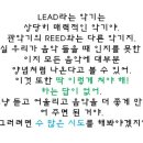 리드(lead) 이미지
