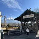 초원염소농장 | 시즈오카 갈만한 곳 후지산 마카이노 목장 후기 | 염소 산책·승마 체험·우유 아이스크림 총정리