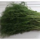 산해농장 이미지