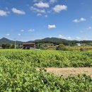 삼웅2리마을회관 이미지