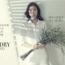 비쥬바이진스&공드리