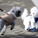 경도약국 이미지