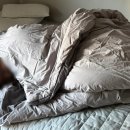 부흥침구 - 달성군 명천로 143-5 | 부흥침구