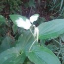 용래농장 이미지