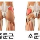 올바른필라테스&PT 이미지