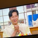 주식회사 루미아호텔앤리조트 | 완도 루미아호텔앤리조트 / 완도 반려 동반 리조트 / 펫 패밀리 더블 옐로우 [pet family double] 사용...