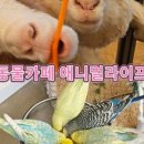태정농장 네이버블로그