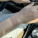 씨유 대천항점 | 2025.09.02 대천항 오로라호 쭈꾸미 갑오징어 낚시 후기