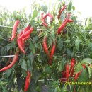 해도농장 이미지