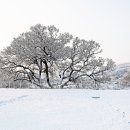 애기봉 평화생태공원 이미지