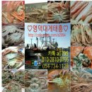 영덕대게 이미지